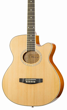 Акустическая гитара HOMAGE LF-401C-N