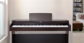 Кабинетное корпусное цифровое фортепиано