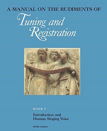 “ A manual on the rudiments of tuning and registration ”.jpg