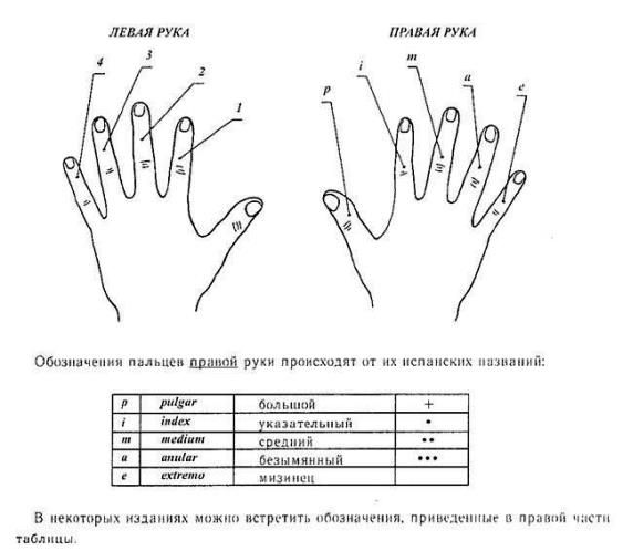 Обозначение пальцев на руках