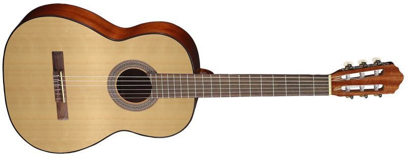 CORT AC100-SG.jpg