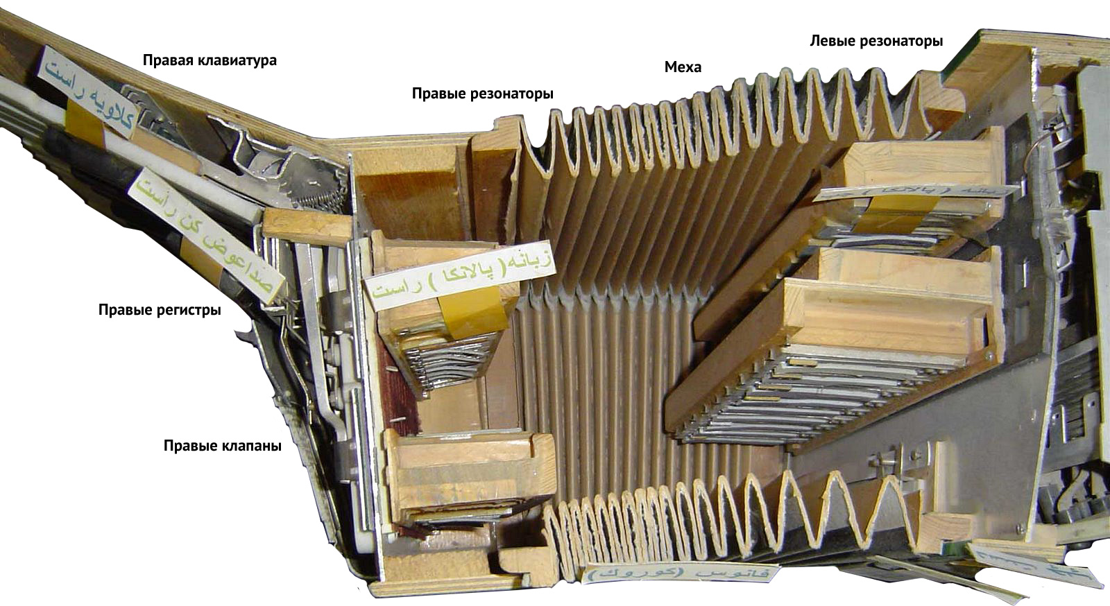 accordion-enter-05.jpg