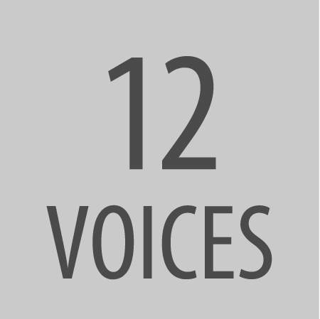 12 Voices.jpg