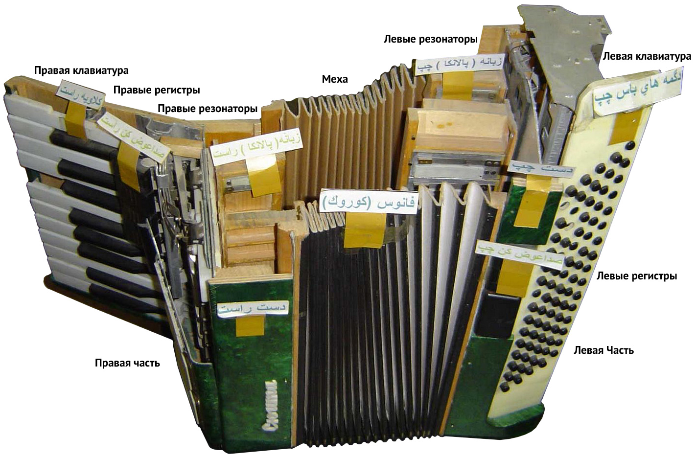 accordion-enter-03.jpg