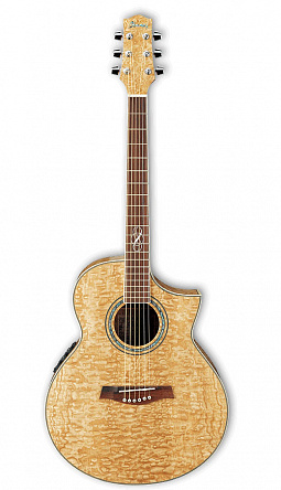 ЭЛЕКТРОАКУСТИЧЕСКАЯ ГИТАРА IBANEZ EW20ASE NT