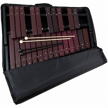 Ксилофон TERRIS XPN-53IBK