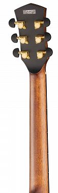 Электроакустика CORT Cut-Craft-Limited-WCASE-N