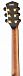 Электроакустика CORT Cut-Craft-Limited-WCASE-N