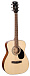 Акустическая гитара CORT AF510-WBAG-OP