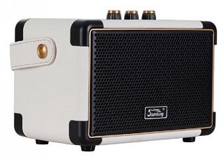 Комбоусилитель Soundking K65-WH