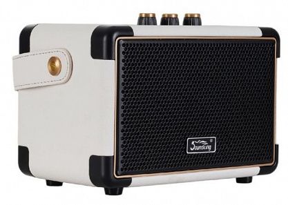 Комбоусилитель Soundking K65-WH