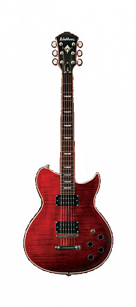 ЭЛЕКТРОГИТАРА WASHBURN WIPRO FTR