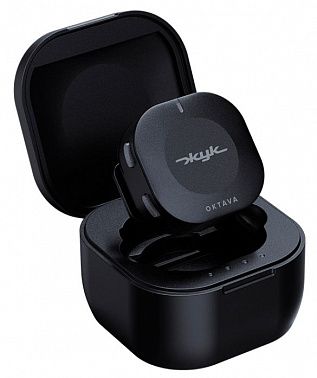 Радиосистема Октава ZHUK-1-CH Жук-1-Ч