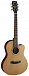 Электроакустическая гитара CORT JADE 1E OP W_BAG