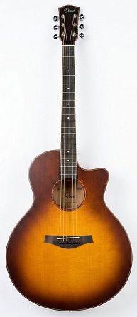 Акустическая гитара Omni SC-50 SB