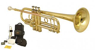 КОМПЛЕКТ WISEMANN 0901TR