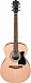 Гитарный комплект IBANEZ VC50NJP-OPN