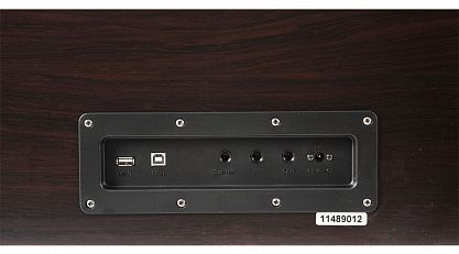 Цифровое пианино Beisite B-808 Pro BN