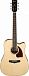 Электроакустика IBANEZ PF16WCE-NT