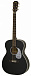 Акустическая гитара ARIA-101UP STBK