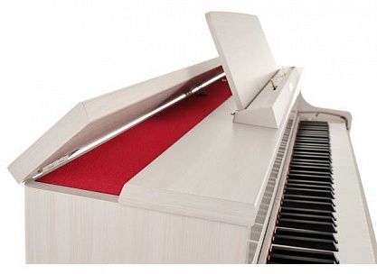 Цифровое пианино CASIO AP-750GB