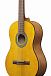 Классическая гитара IBANEZ GA3-OAM