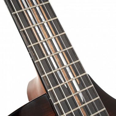 Электроакустика CORT LUXE-NYLON-II-WCASE-BKB