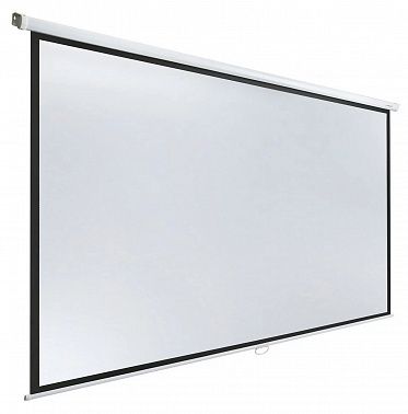 Экран Lumien Eco Picture LEP-100125