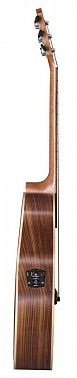 Электроакустика BATON ROUGE AR101S/ACEC-N