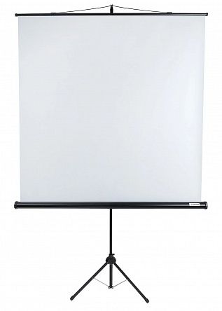 Экран Lumien Eco View LEV-100102