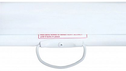 Экран Lumien Eco Picture LEP-100113