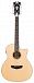 Электроакустика D'Angelico Premier Fulton LS Natural