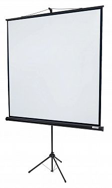 Экран Lumien Eco View LEV-100105