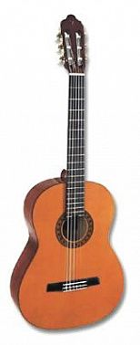 ГИТАРА КЛАССИЧЕСКАЯ VALENCIA CG-170