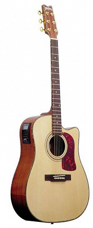 ЭЛЕКТРОАКУСТИЧЕСКАЯ ГИТАРА WASHBURN DK20CET