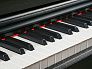 Цифровое пианино MUZPLANET YDP-145R