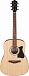 Гитарный комплект IBANEZ V50NJP-OPN