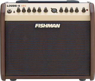 КОМБО FISHMAN PRO-LBX-EX5