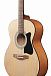 Гитарный комплект IBANEZ VC50NJP-OPN