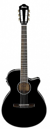 ЭЛЕКТРОАКУСТИКА IBANEZ AEG10NII-BK