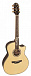 Электроакустическая гитара CRAFTER PK-Rose Plus