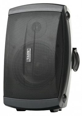 Громкоговоритель настенный TADS DS-854-BLACK