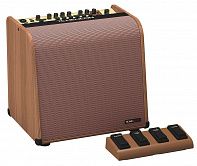 Комбоусилитель TC HELICON HARMONY V100