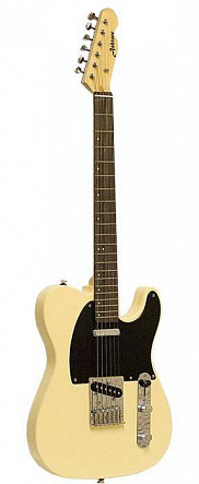 ЭЛЕКТРОГИТАРА ASHTONE AE-200 IV