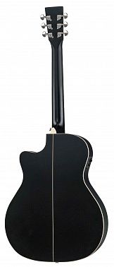 Электроакустика Root Note RGA300CE-BK