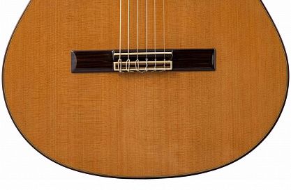 Классическая гитара Altamira N400+Case