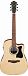 Электроакустика IBANEZ V40CE-OPN