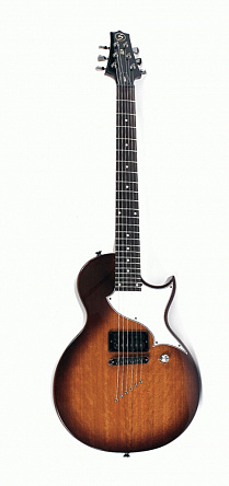 ЭЛЕКТРОГИТАРА SAMICK LN10FTB