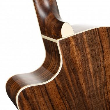 Электроакустика Cort Exotic-GA-Walnut-SS