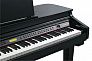Цифровой рояль KURZWEIL KAG100 EP